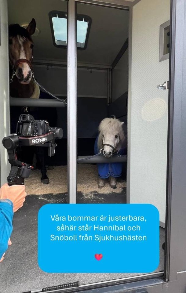 Clear Round Stuteri  Renault 170 hk automat