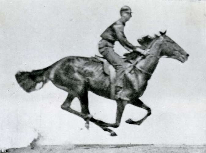 Photograph Series Horse Eadweard Muybridge